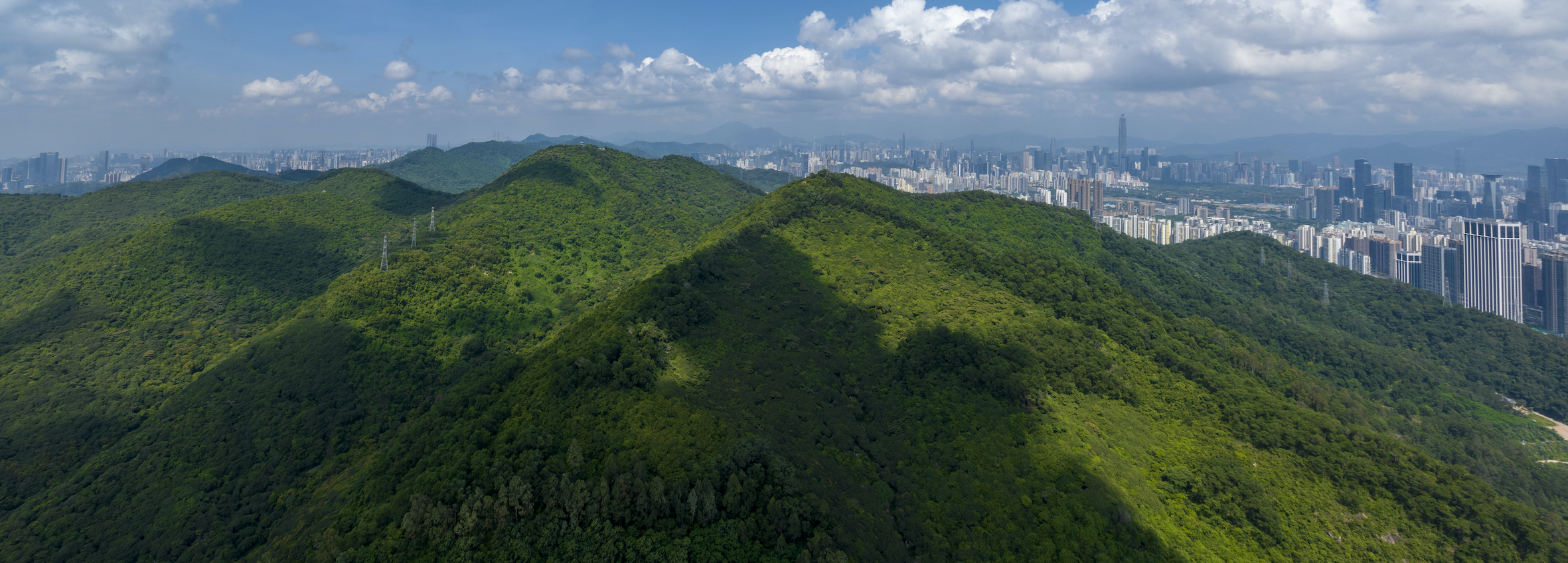 看山